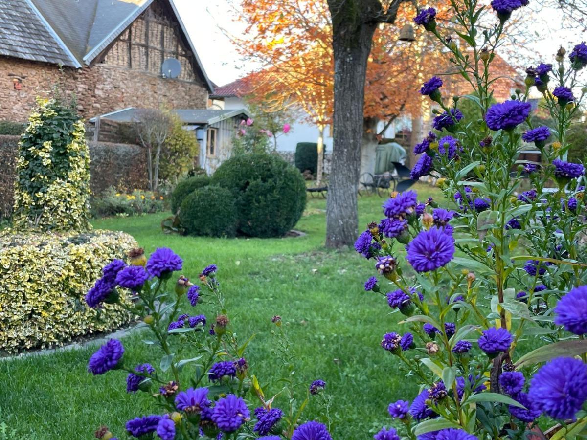 Haus-Hoeppches Blankenheim  Zewnętrze zdjęcie